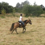 Ballade à Cheval au Poney Club de Gesves près du gite Au Sansonnet
