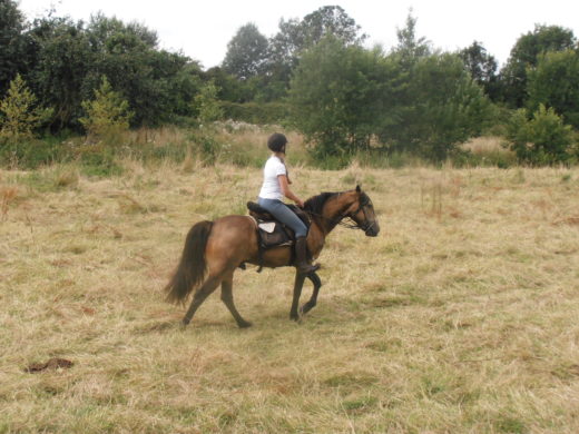 Ballade à Cheval au Poney Club de Gesves près du gite Au Sansonnet