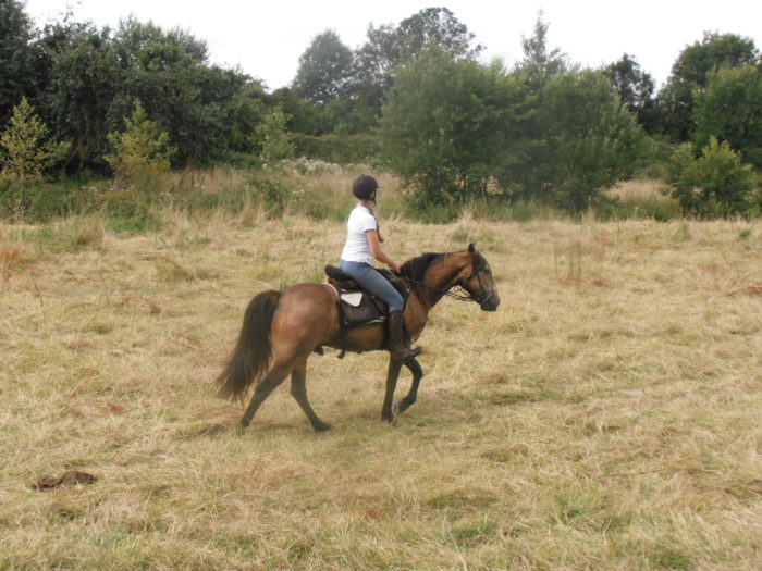 Ballade à Cheval au Poney Club de Gesves près du gite Au Sansonnet